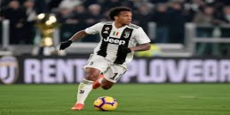 职业轨迹与关键数据：米兰体育视角-米兰体育