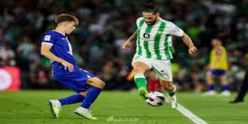 战术拼图完成度提升：米兰体育看好他的体系适配性-米兰体育