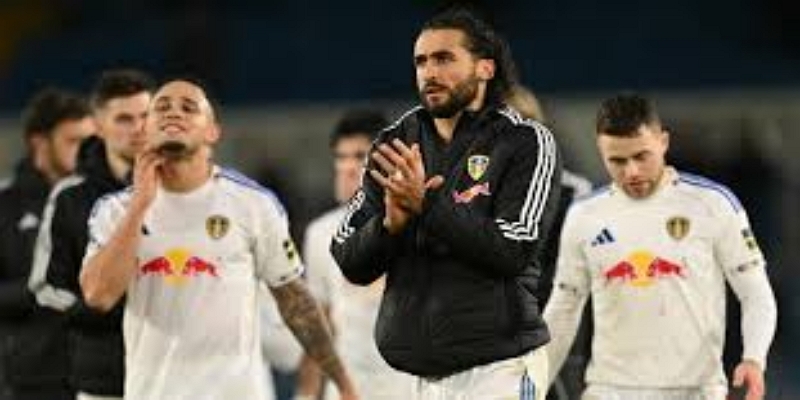 未来展望与挑战-米兰体育