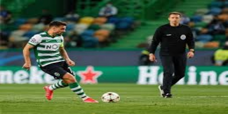 米兰体育世界杯后决策分析：权衡发展与竞技-米兰体育