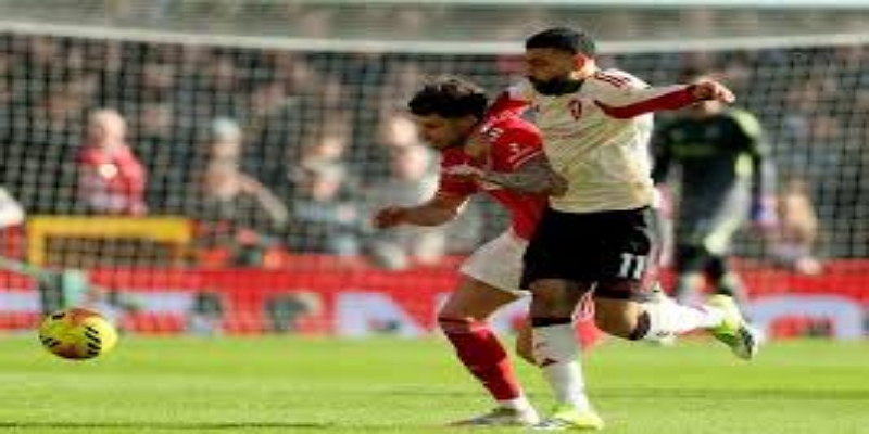 林菲尔德创造历史：北爱尔兰足球的荣耀时刻-米兰体育